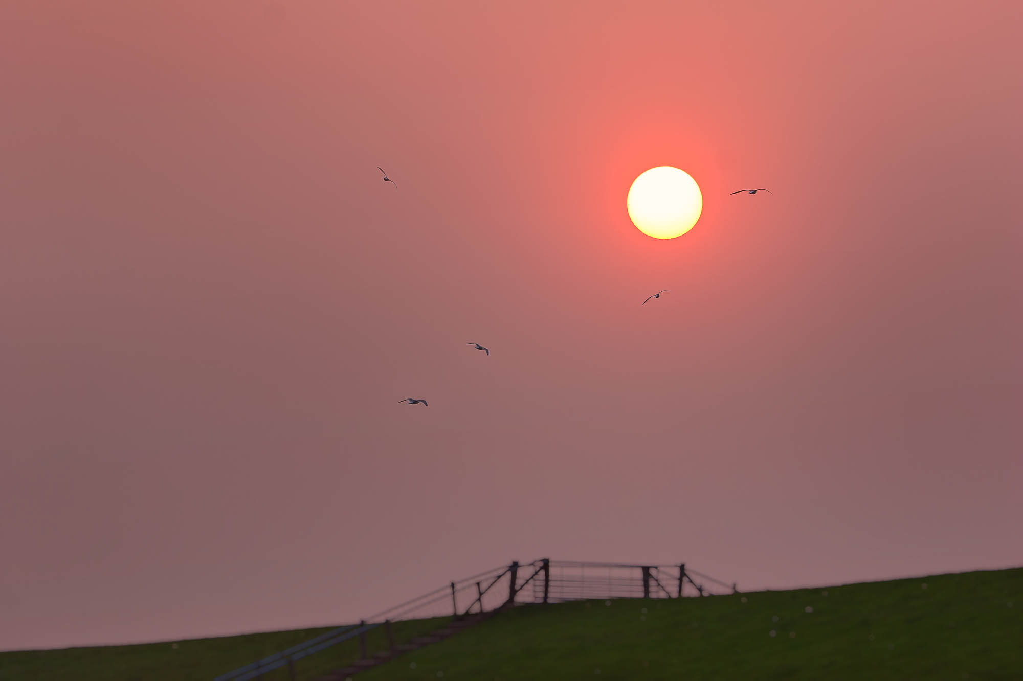 Towards the sun